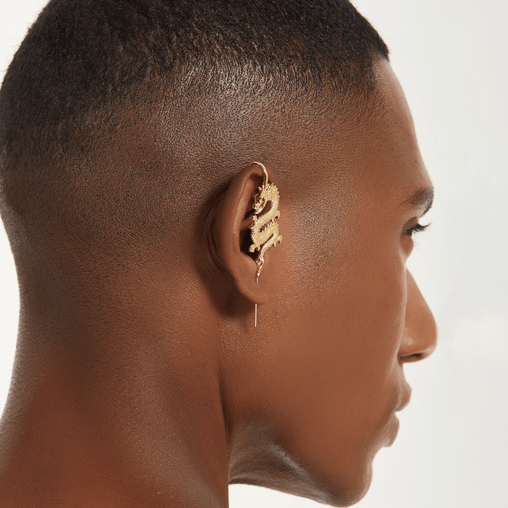 TIANLONG  天龙-EJDERHA