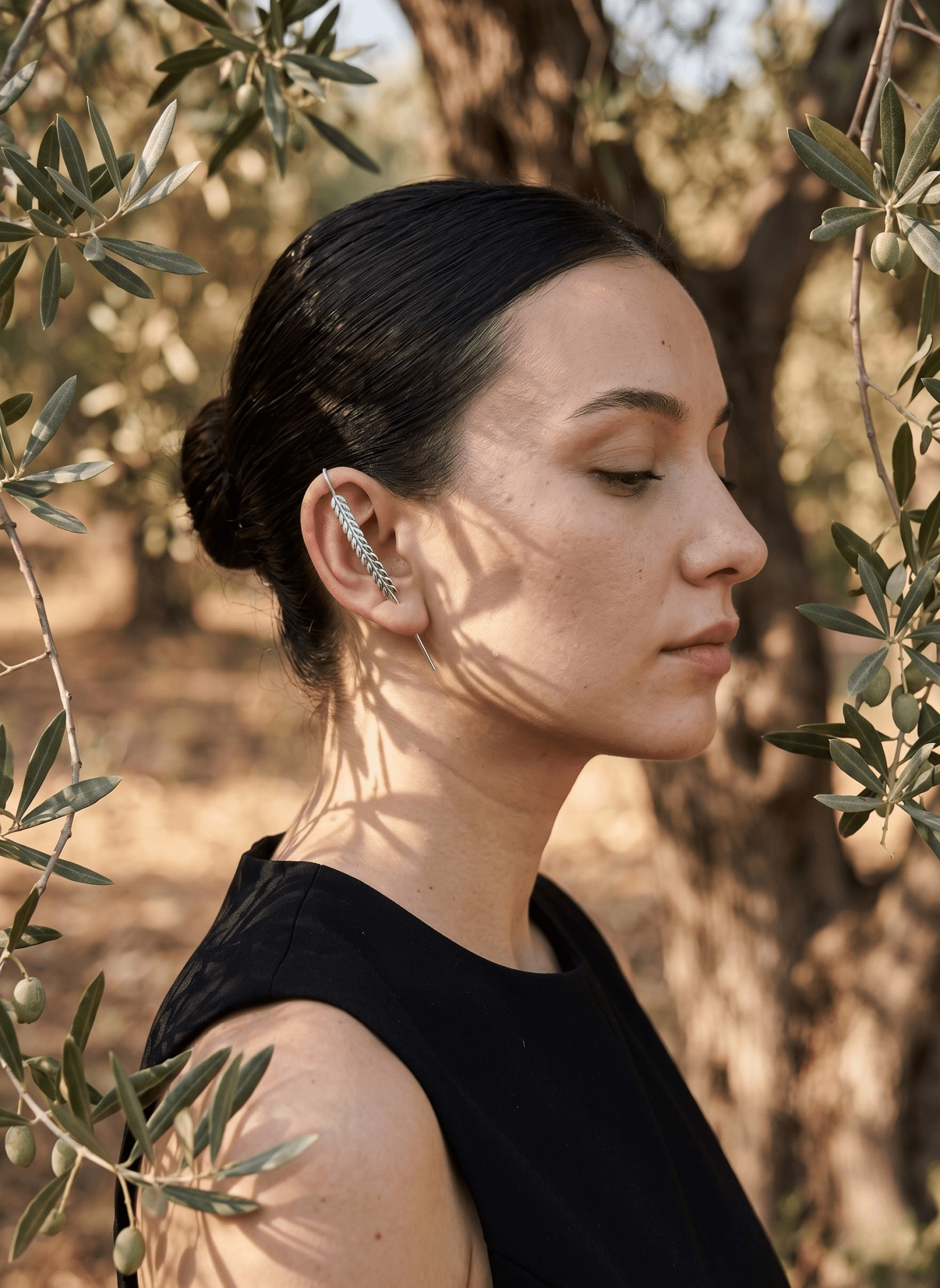 OLIVE BRANCH-ZEYTİN DALI - OREVO-