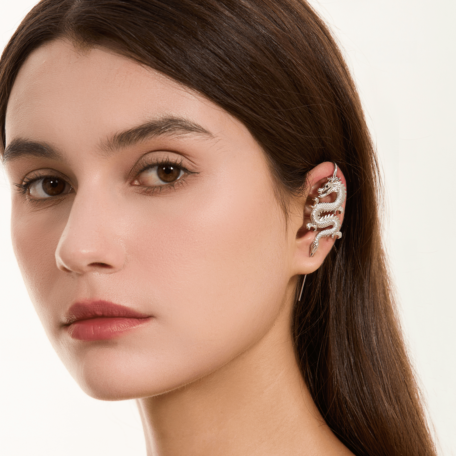 TIANLONG 天龙 - EJDERHA - OREVO - 