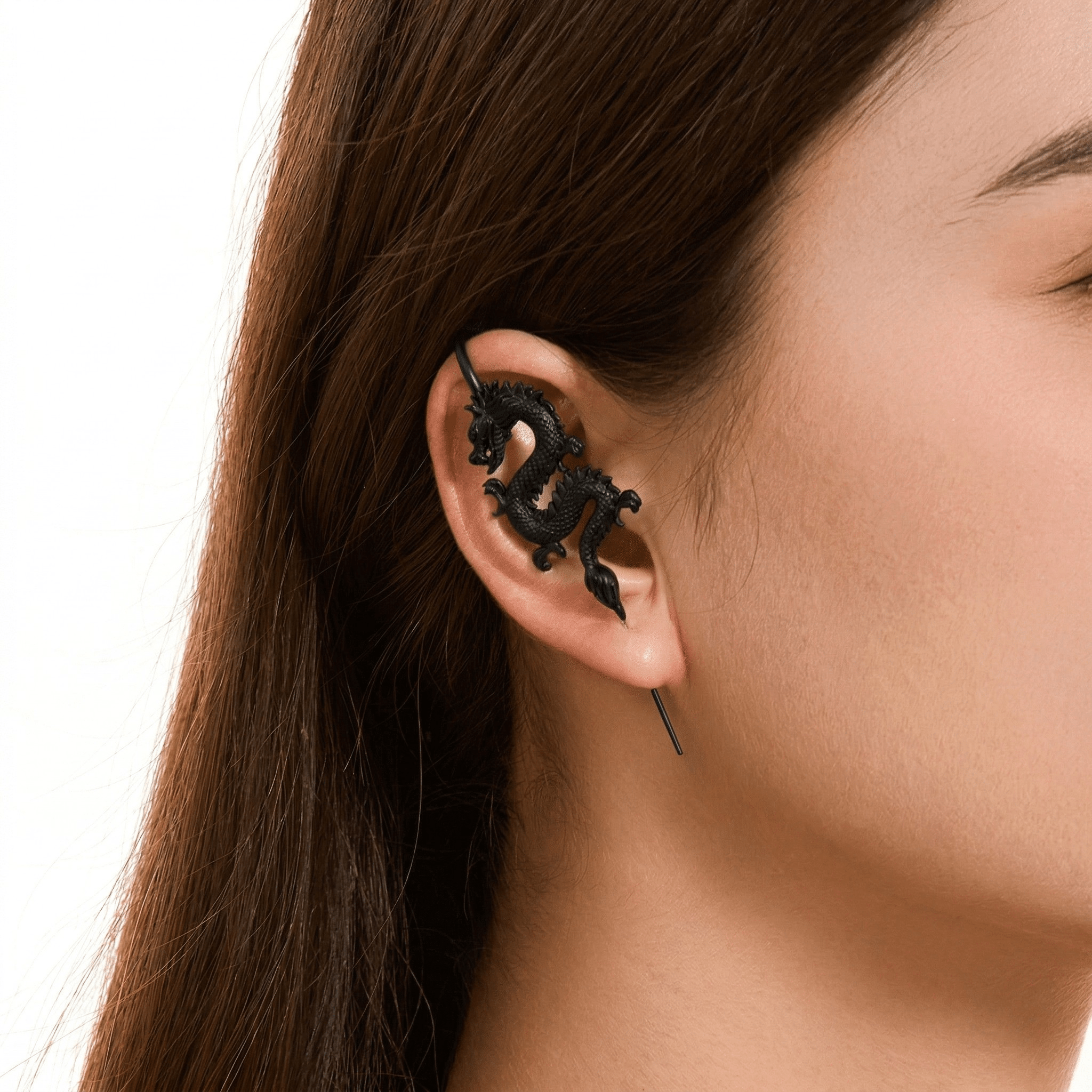 TIANLONG 天龙 - EJDERHA - OREVO - 