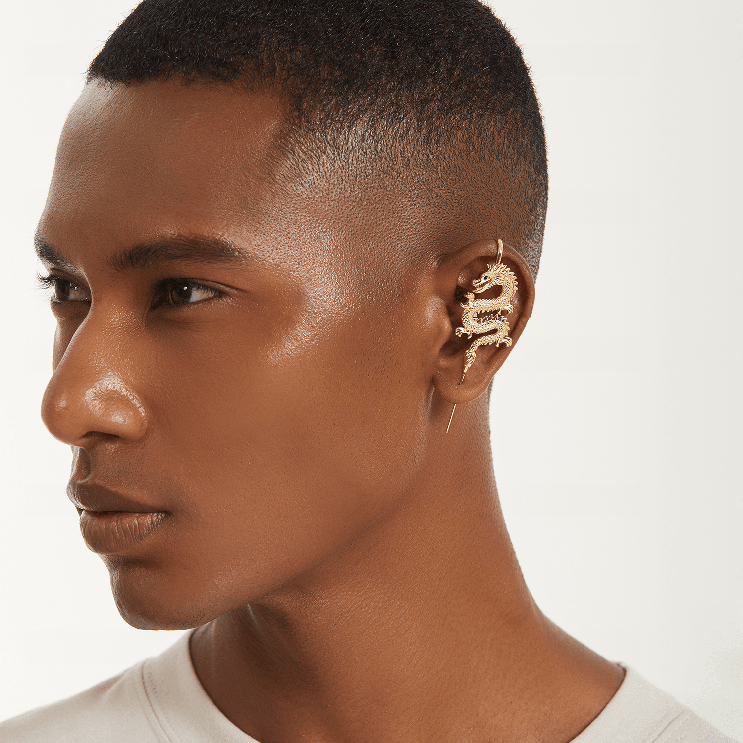 TIANLONG 天龙 - EJDERHA - OREVO - 